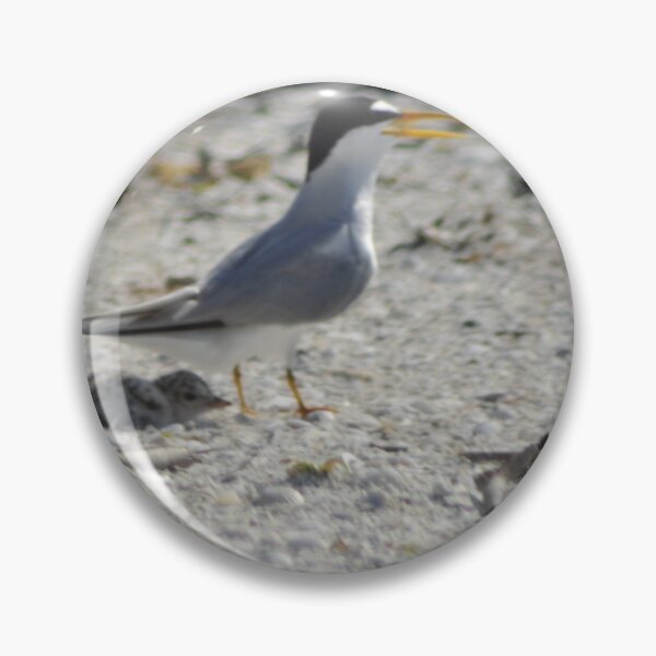 Item preview, Mama and Baby Tern, As Is designed and sold by Kim McClain Gregal.