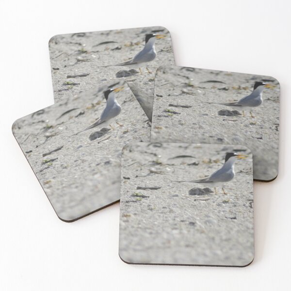 Item preview, Mama and Baby Tern, As Is designed and sold by Kim McClain Gregal.