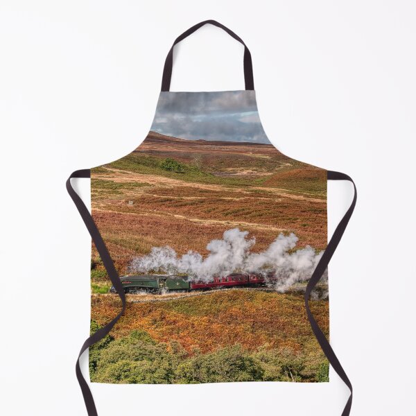 Item preview, 60009 Union of South Africa designed and sold by Steve H Clark.