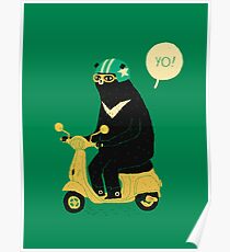 scooter bear Poster