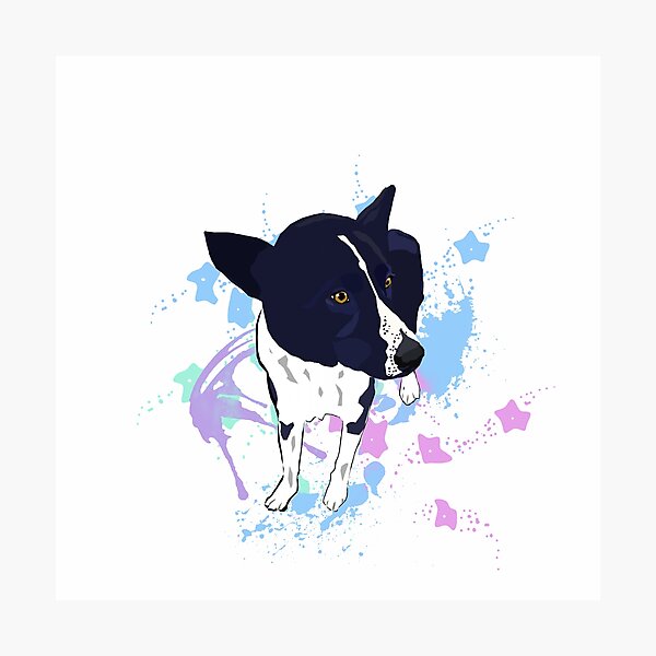 Item preview, Karelian dog designed and sold by suomi90rivendel.