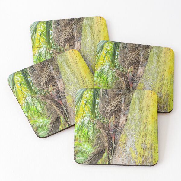 Item preview, Oriental garden lizzard designed and sold by Photopat.