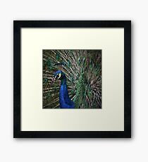 The King Framed Print