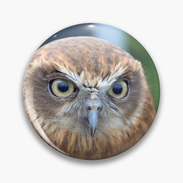 Item preview, Tawny Owl designed and sold by MikeCaffrey.