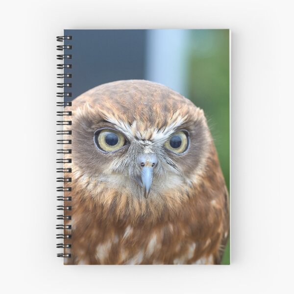 Item preview, Tawny Owl designed and sold by MikeCaffrey.