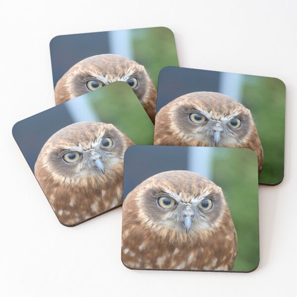 Item preview, Tawny Owl designed and sold by MikeCaffrey.