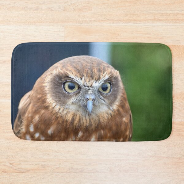 Item preview, Tawny Owl designed and sold by MikeCaffrey.
