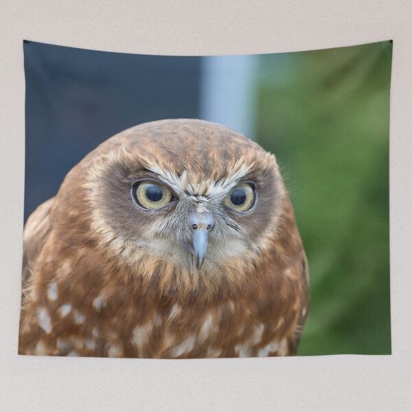 Item preview, Tawny Owl designed and sold by MikeCaffrey.