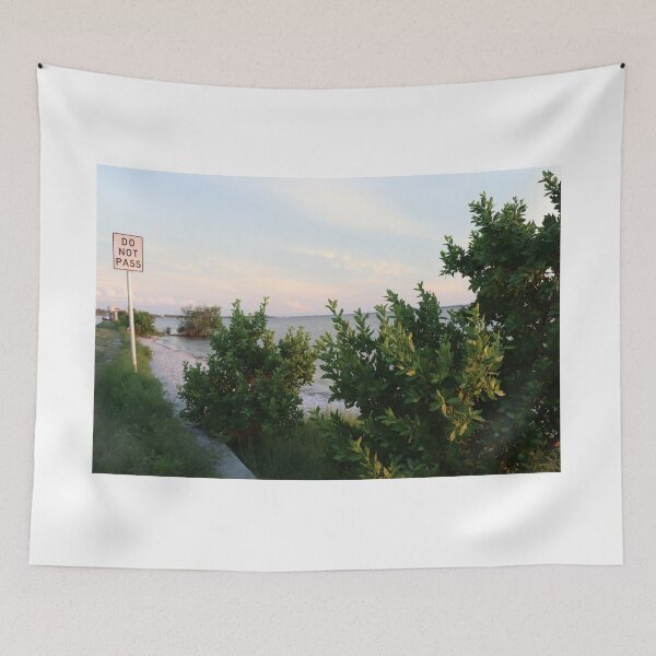 Item preview, DO NOT PASS designed and sold by coolorangesocks.