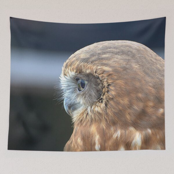 Item preview, Tawny Owl headshot designed and sold by MikeCaffrey.