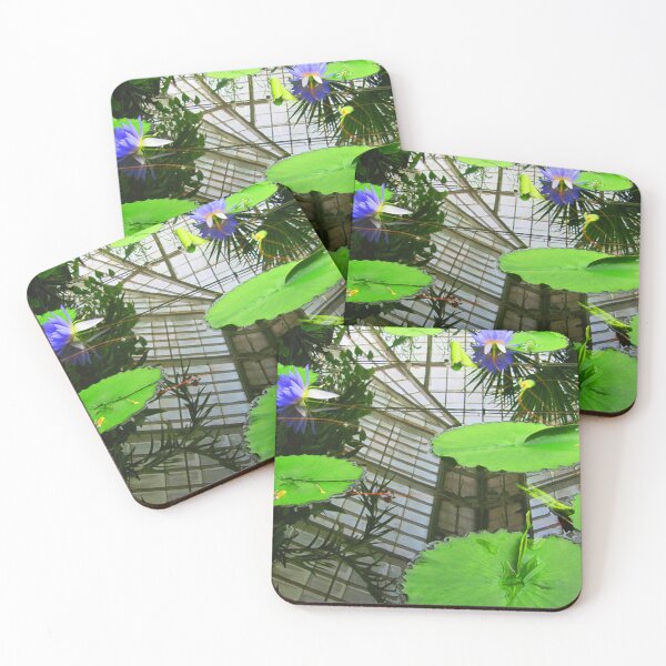 Item preview, Reflections designed and sold by michaelwsf.