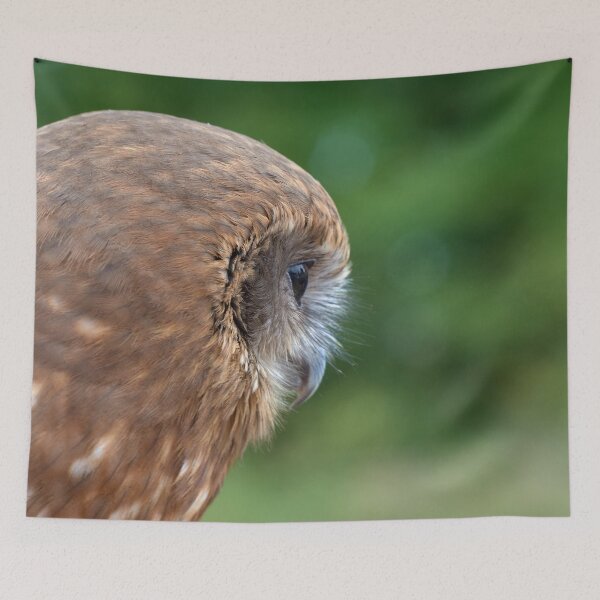 Item preview, Tawny Owl profile designed and sold by MikeCaffrey.