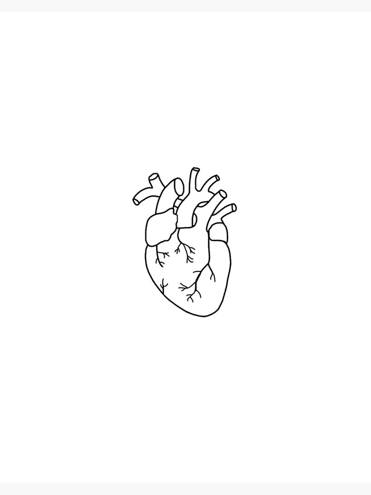 Anatomical Heart