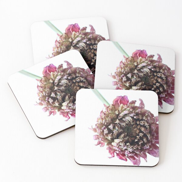 Item preview, dry flower designed and sold by greatnorris.