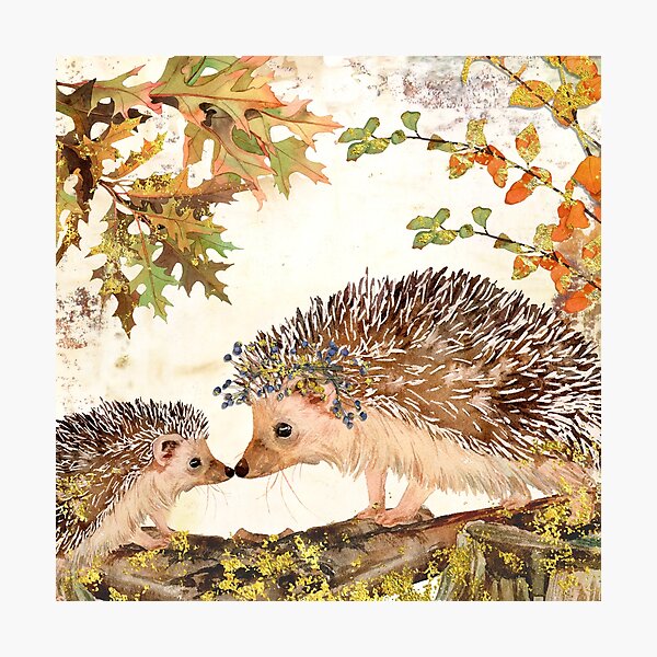 Fall Hedgehog Photographic Print