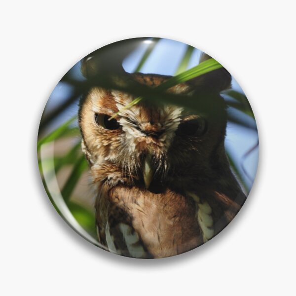 Item preview, Eastern Screech Owl, As Is designed and sold by Kim McClain Gregal.