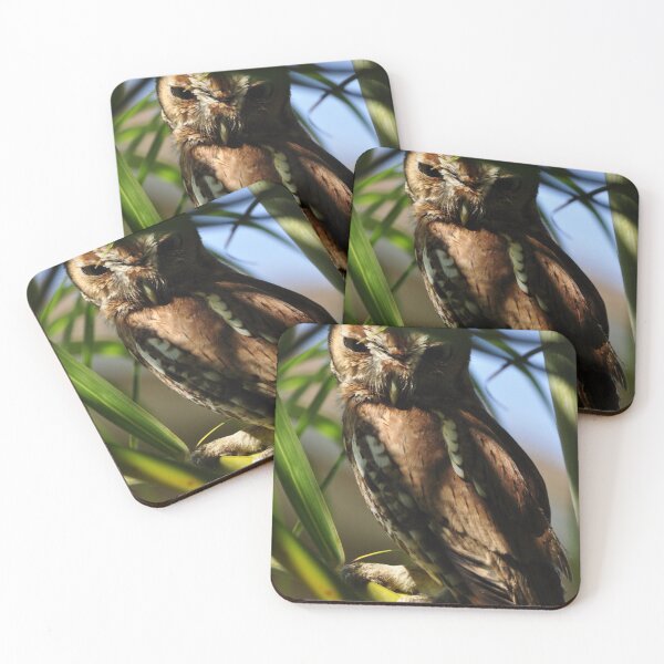 Item preview, Eastern Screech Owl, As Is designed and sold by Kim McClain Gregal.
