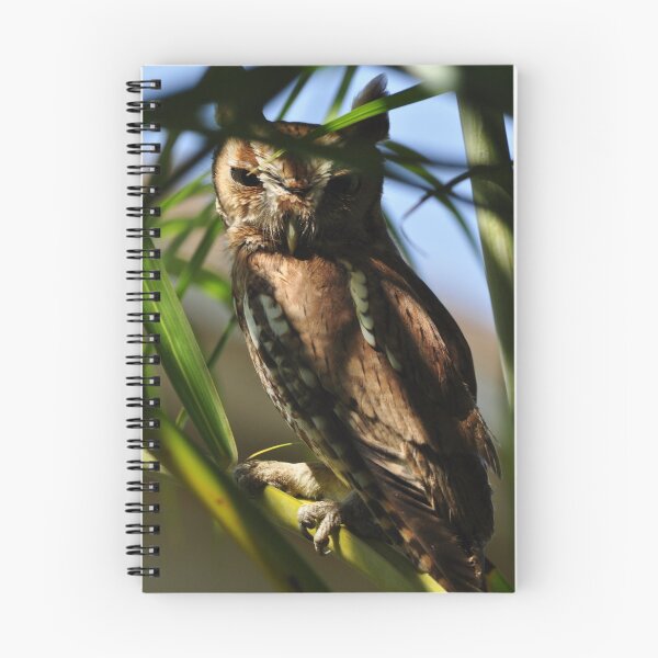 Item preview, Eastern Screech Owl, As Is designed and sold by Kim McClain Gregal.