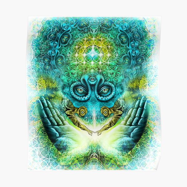 Transition to Butterfly Poster