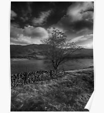 Buttermere Poster