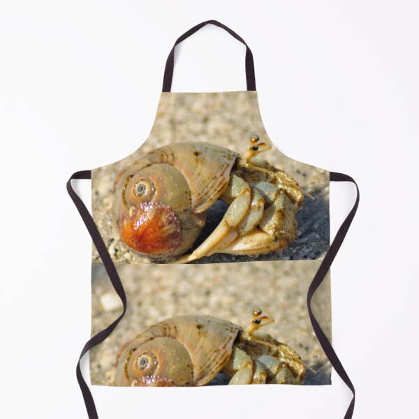 Item preview, Hermit Crab designed and sold by Kim McClain Gregal.