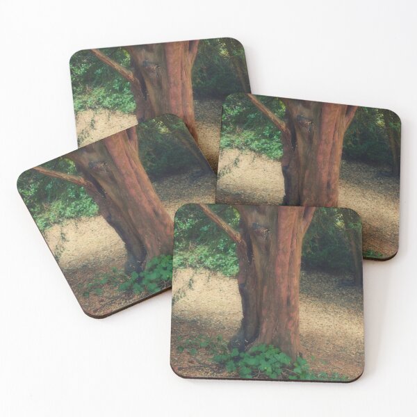 Item preview, Natures Solitude designed and sold by Christine Lake.