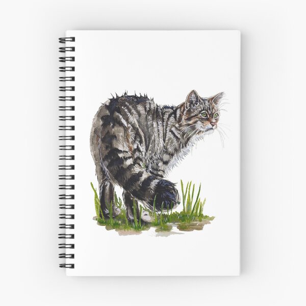 Item preview, Scottish wildcat designed and sold by PerjamosyArt.