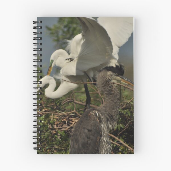 Item preview, I Won't Look designed and sold by Kim McClain Gregal.