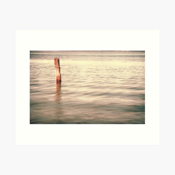 Standing alone in Homebush Art Print