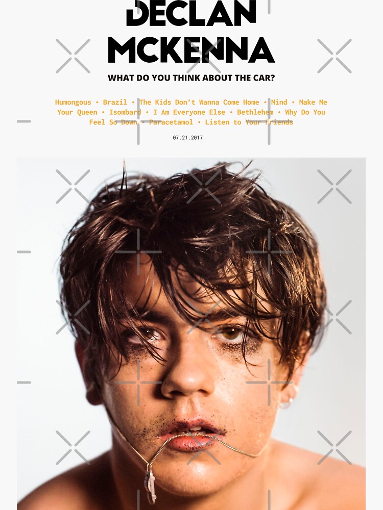 Declan McKenna - What Do You Think About The Car? (2017) Music
