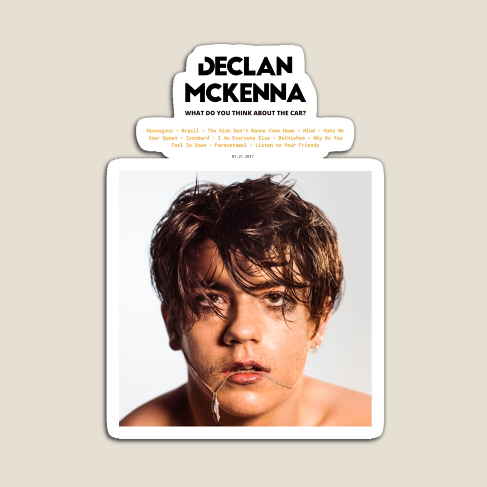 Declan McKenna - What Do You Think About The Car? (2017) Music