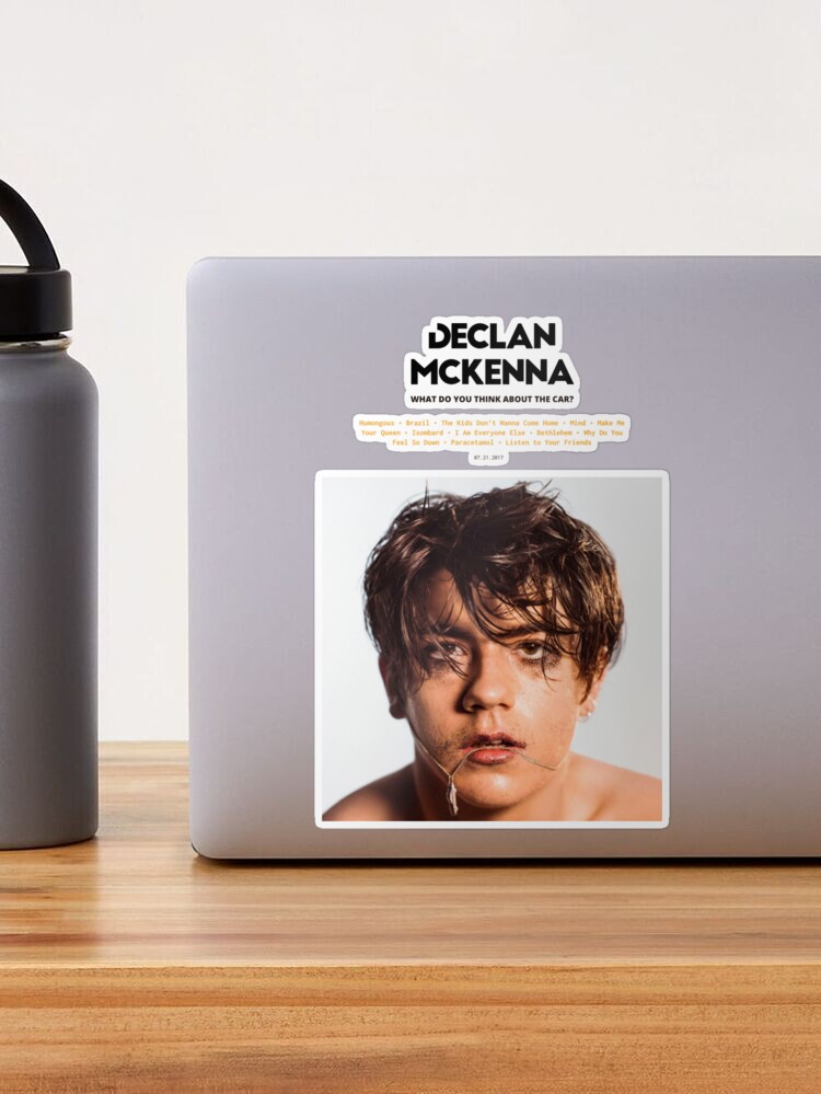 Declan McKenna - What Do You Think About The Car? (2017) Music