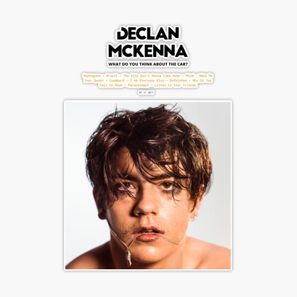 Declan McKenna - What Do You Think About The Car? (2017) Music