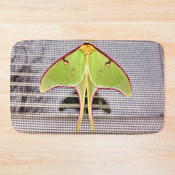 Item preview, Visit With A Luna Moth designed and sold by DDGolden.