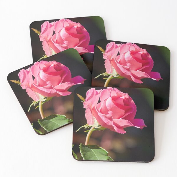 Item preview, The Pink Rosae number 4 designed and sold by Jouko Lehto Photography.