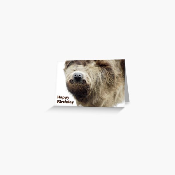 Sloth Birthday Card Greeting Card