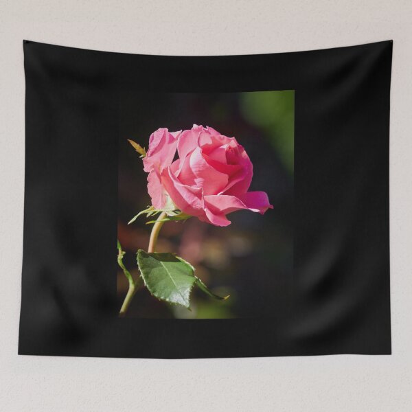 Item preview, The Pink Rosae number 4 designed and sold by Jouko Lehto Photography.