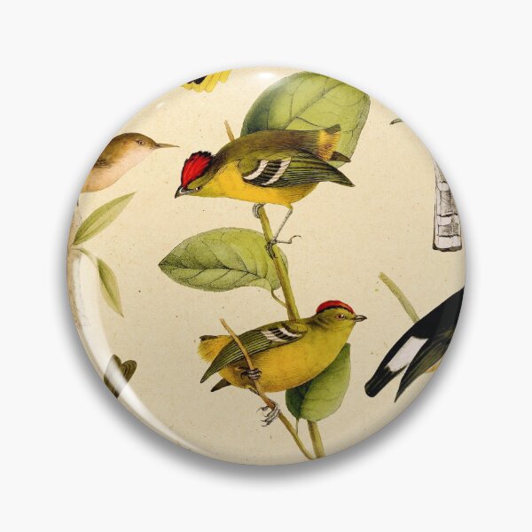 Item preview, Vintage Birds of Brazil Designs Collection designed and sold by PixelHunter.
