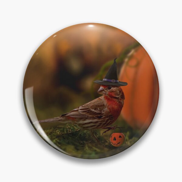 Item preview, House Finch Hoggle the Halloween Witch  designed and sold by LESLIEDYESIGN.