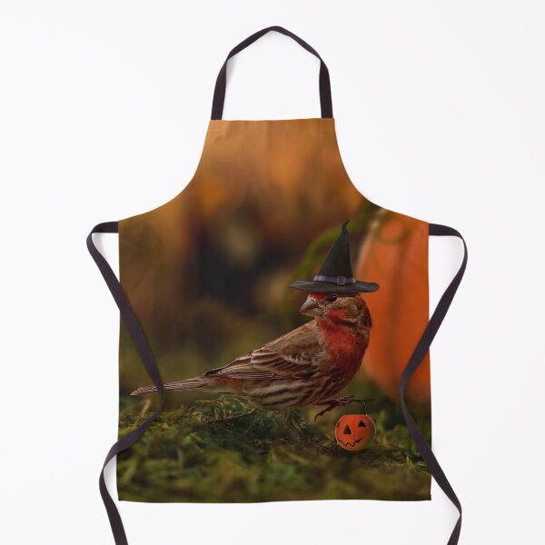 Item preview, House Finch Hoggle the Halloween Witch designed and sold by LESLIEDYESIGN.