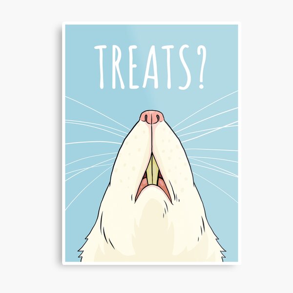 Treats? Pet Rat Blue Design Metal Print