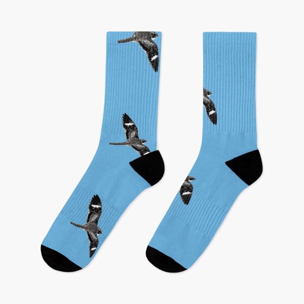 Item preview, Common Nighthawk Color Print  designed and sold by designsasstultd.