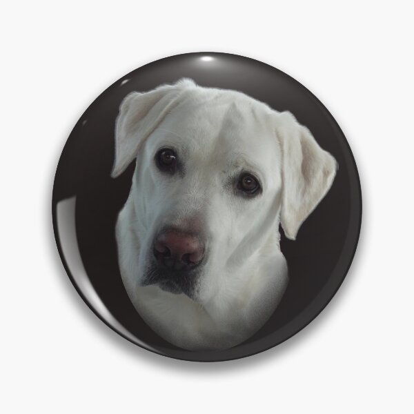 Lucy Wants a French Fry Pin