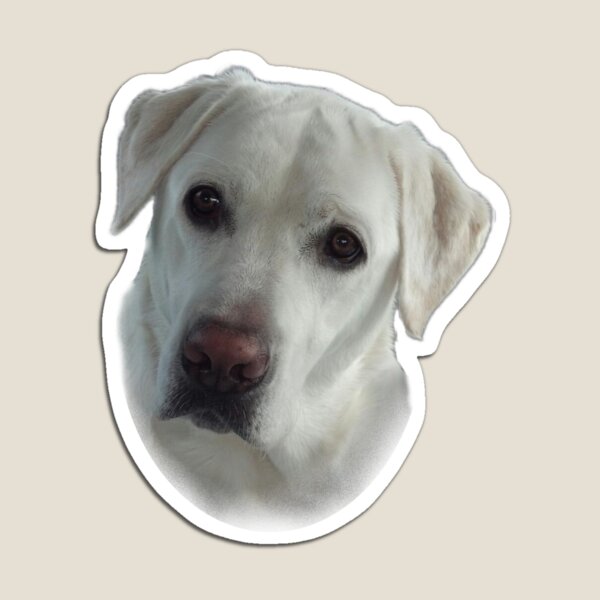 Lucy Wants a French Fry Magnet