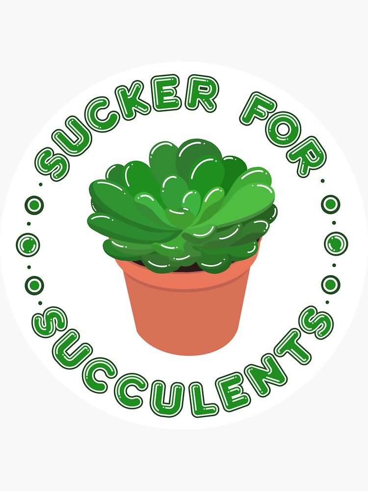 Thumbnail 3 of 3, Sticker, Sucker for Succulents designed and sold by dickierebellion.