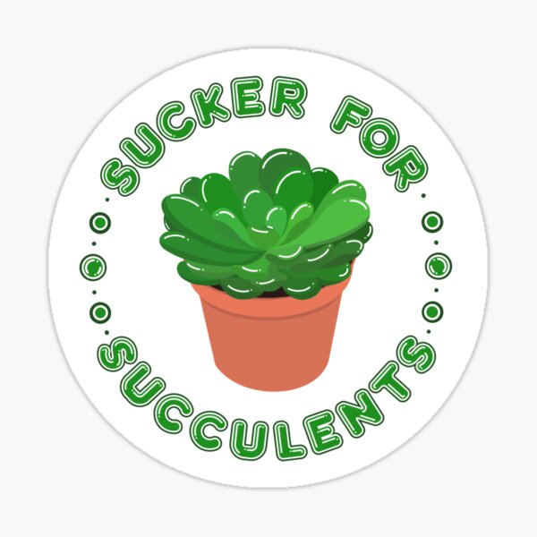Sucker for Succulents Sticker
