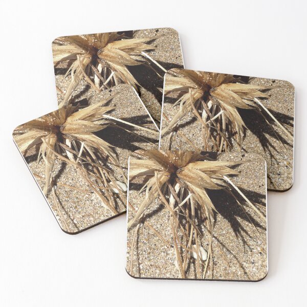 Item preview, Grass Seed, Apollo Bay designed and sold by Roz McQuillan Fine Art & Photography.