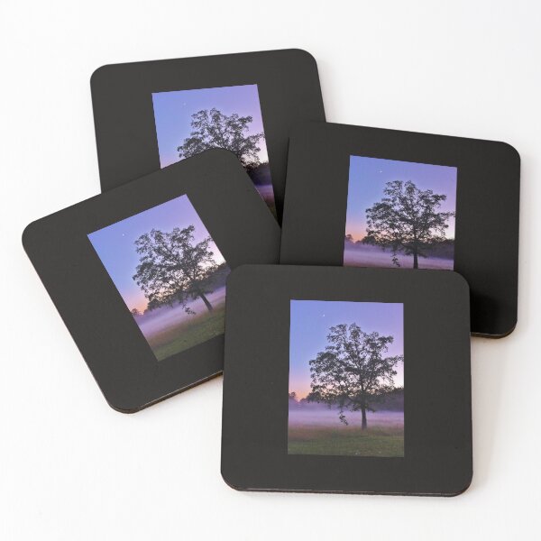 Item preview, Misty Morning designed and sold by JoAnn Glennie.