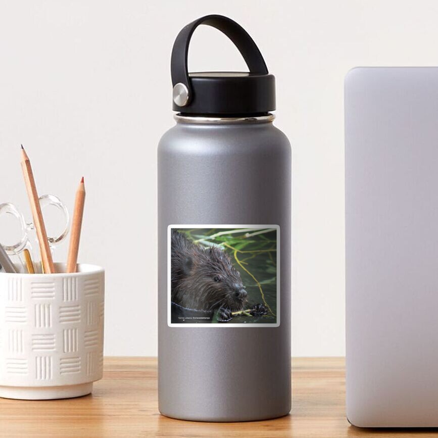 The hungry beaver By Yannis Lobaina Sticker