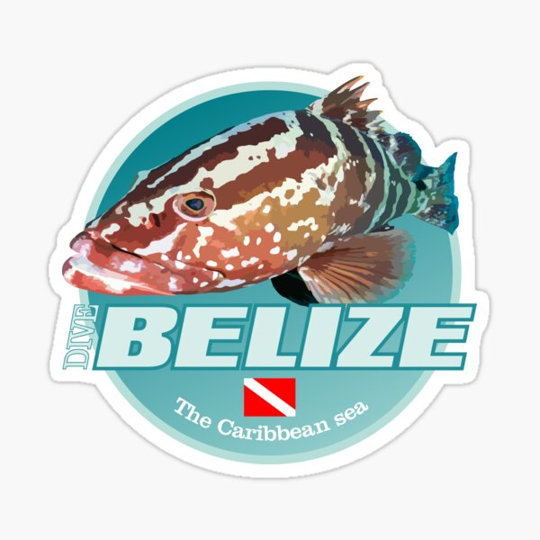 Item preview, Dive Belize (DD2) designed and sold by curranmorgan.